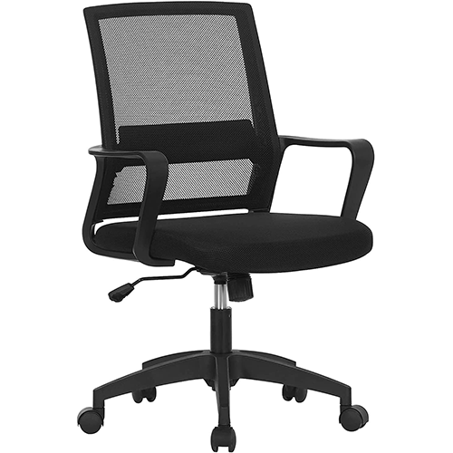 ErgoFlex Medium Back Ergonomic Mesh Office Chair