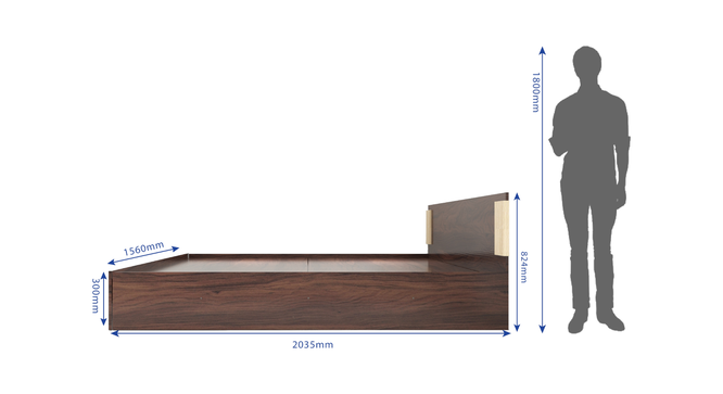 Nook Engineered Wood Queen Size Box Storage Platform Bed in Walnut Finish